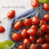 子供大好き！シュガープラム1kg糖度10度以上の極甘ミニトマト(300003)