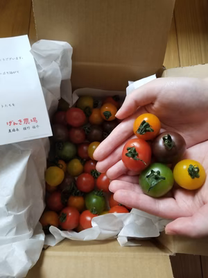 みんなの投稿の画像