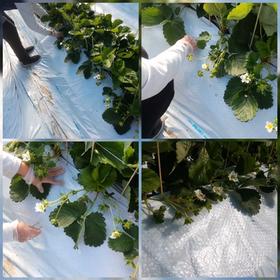 みんなの投稿の画像