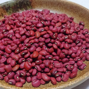 ささげ豆　桜島の大自然　無農薬無肥料　除草剤不使用　限定2袋