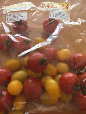 みんなの投稿の画像