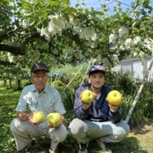 (訳あり、家庭用)福島県産霜と雹のダブルパンチで育ったど根性あまーい幸水