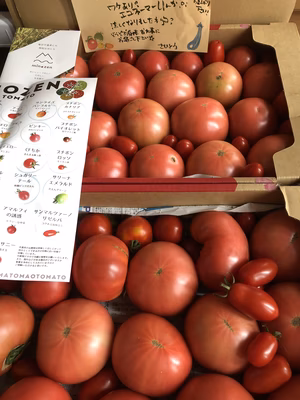 みんなの投稿の画像