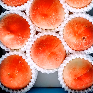 {訳あり}「白鳳桃」糖度12度以上(4kg用箱詰め)和歌山産