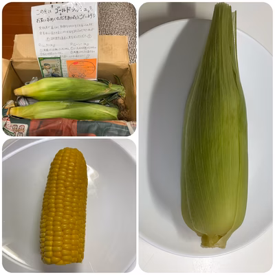 みんなの投稿の画像