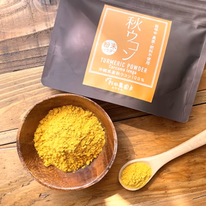 【100g】スパイスやウコン茶に！沖縄産自然栽培秋ウコン粉末