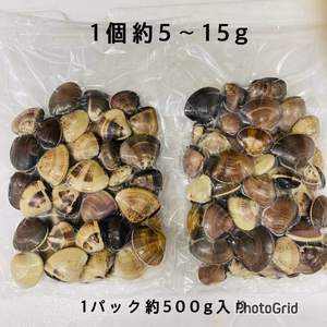 真空冷凍はまぐり　3種セット　各約500g 1.5キロ