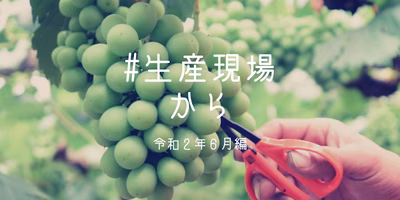 農家･漁師の日常を覗いてみよう。生産者さんの投稿まとめ[2020年6月編]