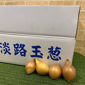 淡路島ちび玉ねぎ❗️まるごとスープに❗️5kg箱（2Sサイズ）