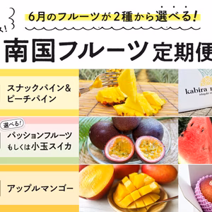 「南国フルーツ定期便」九州・沖縄からお届け