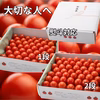 11月発送【赤い宝石箱】濃厚ミニトマト　日時指定可能　御歳暮・ギフト・贈り物　