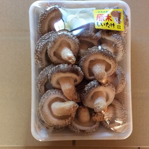 肉厚☆原木しいたけ ※冬季限定品種※ 500g