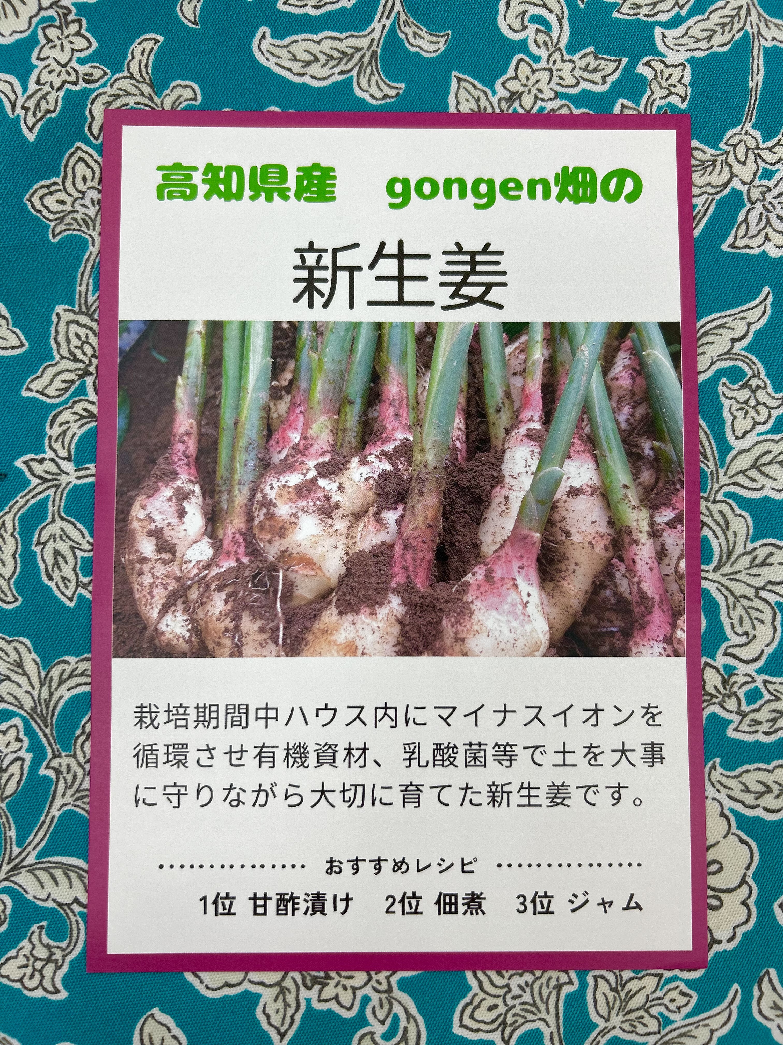 高知県産 朝採れ新生姜レシピ付き 4キロ｜生姜の商品詳細