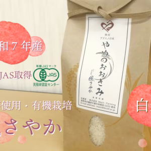 【令和７年産】冷めてもおいしい！【有機JAS】(風さやか/白米)やめのおおきみ