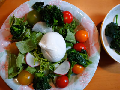 みんなの投稿の画像