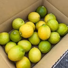 「瀬戸内産国産レモン」訳なし！！