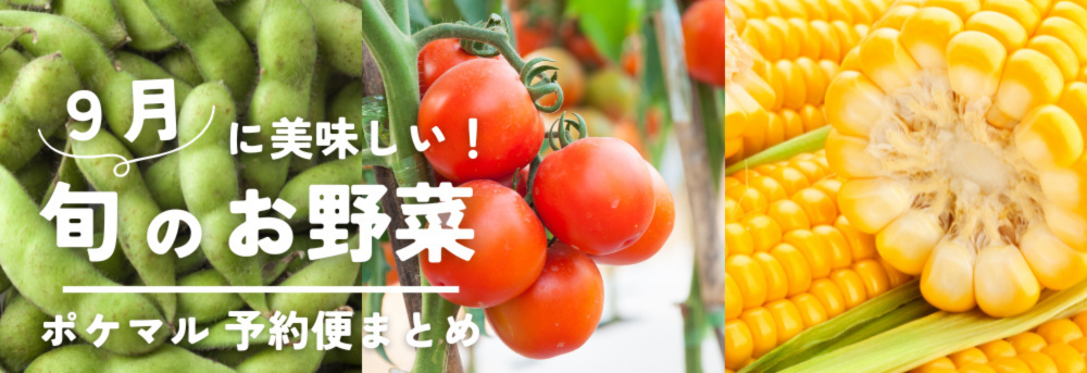 ９月に旬の野菜