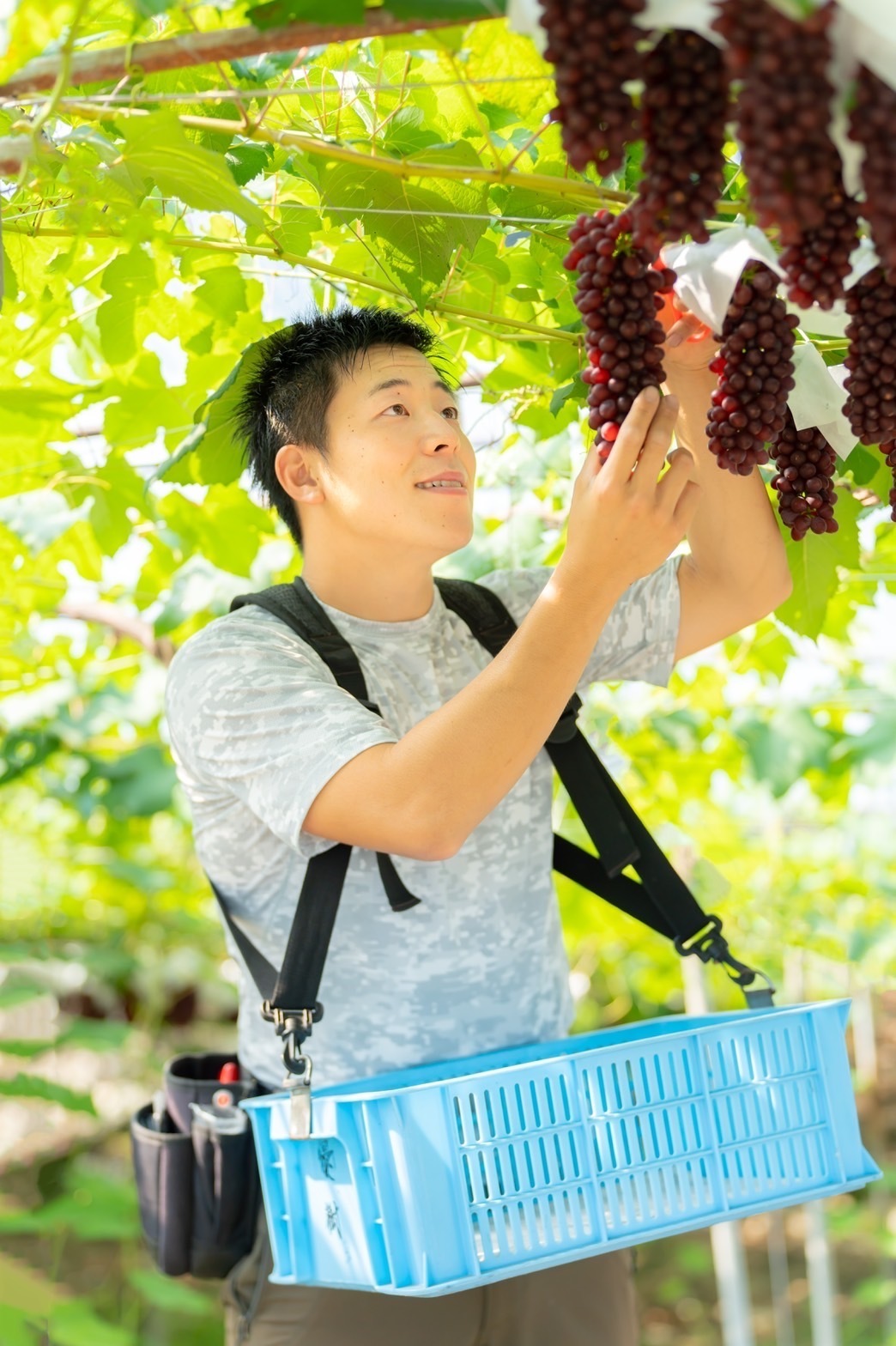 ぶどう農園直送⚠️さま用　vuvvセット