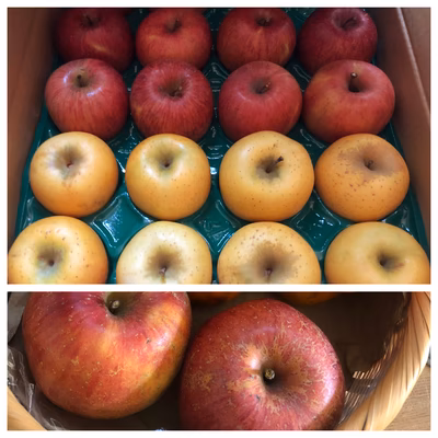 みんなの投稿の画像