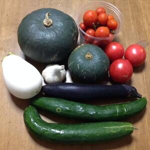 自然栽培　2020注目夏野菜絶品食べ比べセット　5種、13品種程度