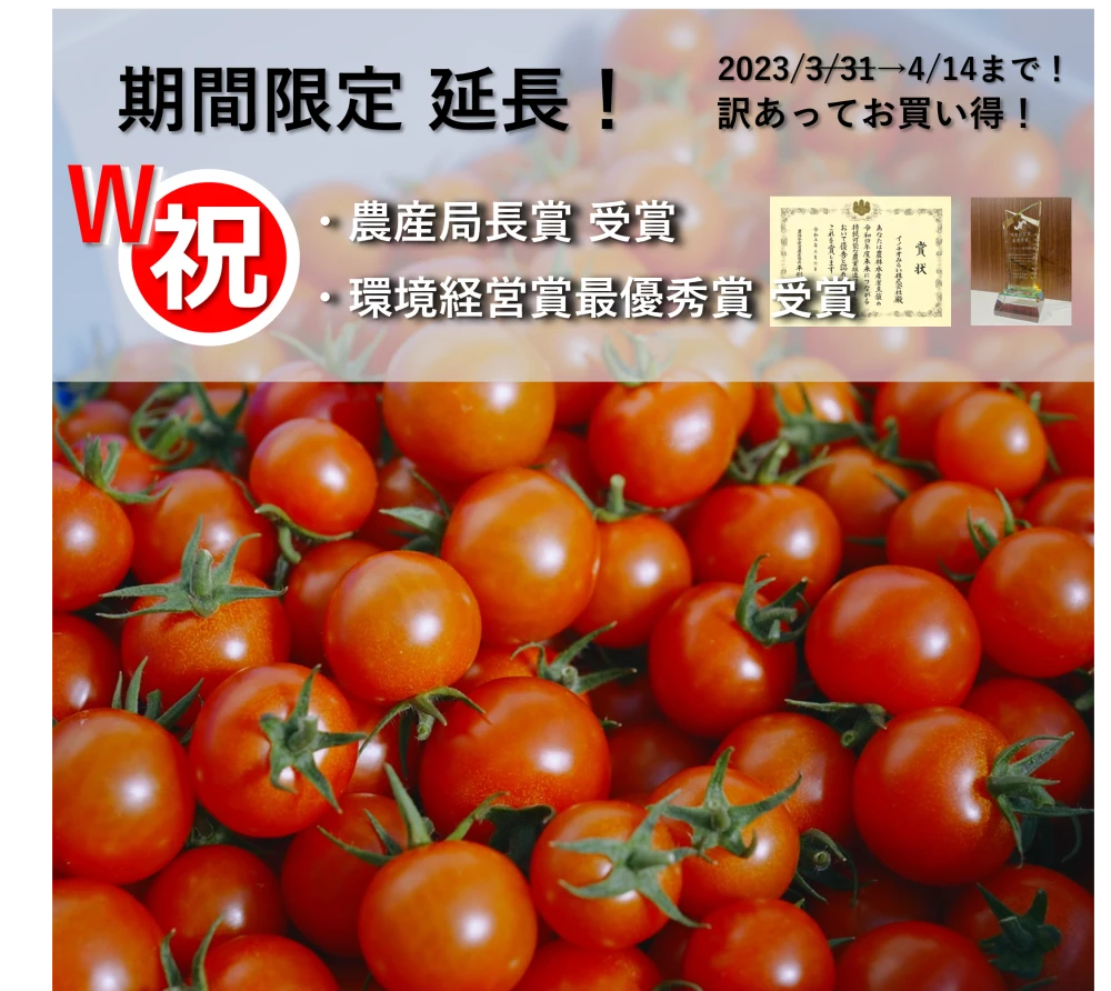 特別価格期間終了のため商品ID: 339692へ移動しました❗️