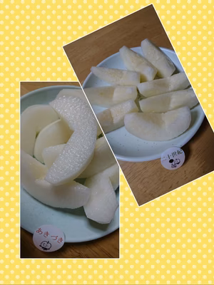 みんなの投稿の画像