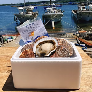 贈答用■特大3年貝■活ホタテ■8月1日までに発送