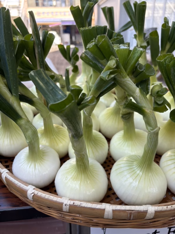無農薬⭐︎無化学肥料⭐︎無除草剤⭐︎新玉ねぎ