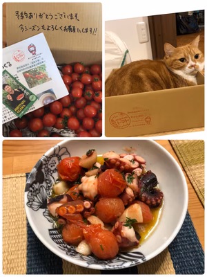 みんなの投稿の画像