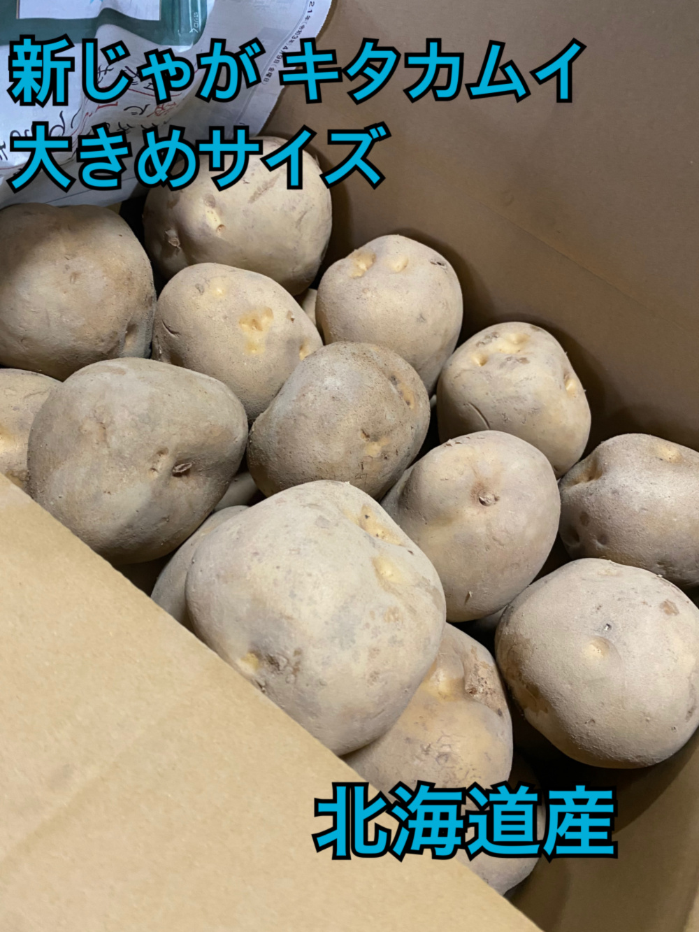 ○じゃがいも キタカムイ 大きめサイズ ○10キロ ○北海道｜野菜の商品