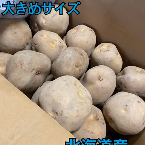 ●じゃがいも キタカムイ　大きめサイズ　●10キロ ●北海道