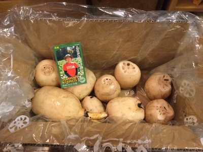 みんなの投稿の画像