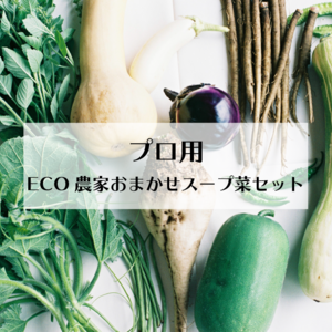 ■プロ用★ECO農家おまかせスープ菜セット★5-10月クール便■