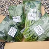 空芯菜など夏の菜っ葉４袋(空芯菜、バジル、モロヘイヤ)