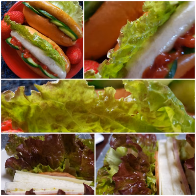 みんなの投稿の画像