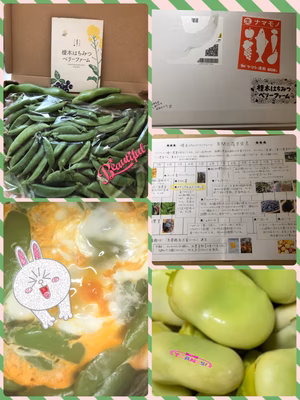 みんなの投稿の画像