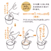 焼芋ラテの素２００ｇと焼芋ジャム２００ｇの詰め合わせ、農薬・化学肥料不使用、