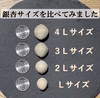 予約 12/15締切【正月用】祖父江銀杏 藤九郎 大玉３Lサイズ