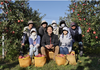 【シナノリップ】長野県生まれの最新品種✨8月から収穫❗️贈答品
