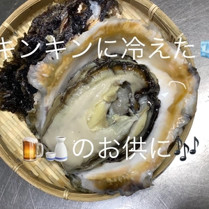 佐賀県唐津産　からつんカキ岩牡蠣[2kg]