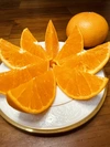 ジュワッと甘い柑橘の大トロ完熟せとか‼︎【家庭用】3月発送