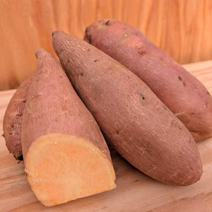 安納芋　5kg～　さつまいも　貯蔵期間３カ月　熟成
