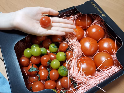 みんなの投稿の画像