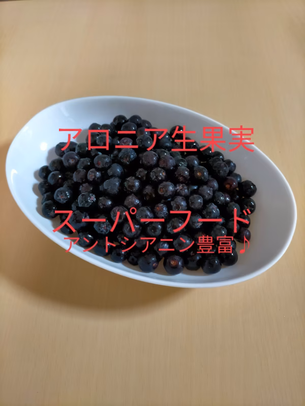 送料最安★アロニア生果実 850g フレッシュアロニア 令和4年新潟県産