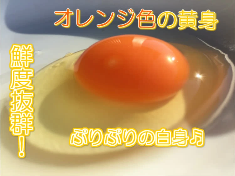 □日付指定可能□【ちょっと小さめ赤卵50個】『枯草菌』育ちの鶏の赤卵50個