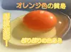 【チョット小さめ・赤卵50個×2箱】『枯草菌』育ちの赤たまご100個
