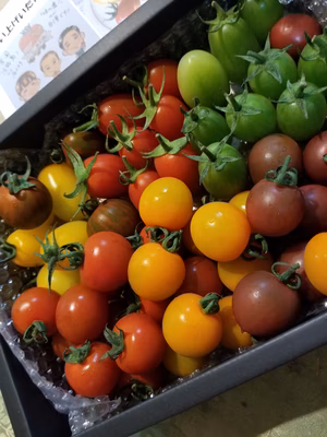 みんなの投稿の画像