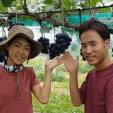 若林賢司 | 若林ぶどう農園