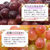 【送料無料】山形県産  シャインマスカットと品種お任せぶどう詰合せセット