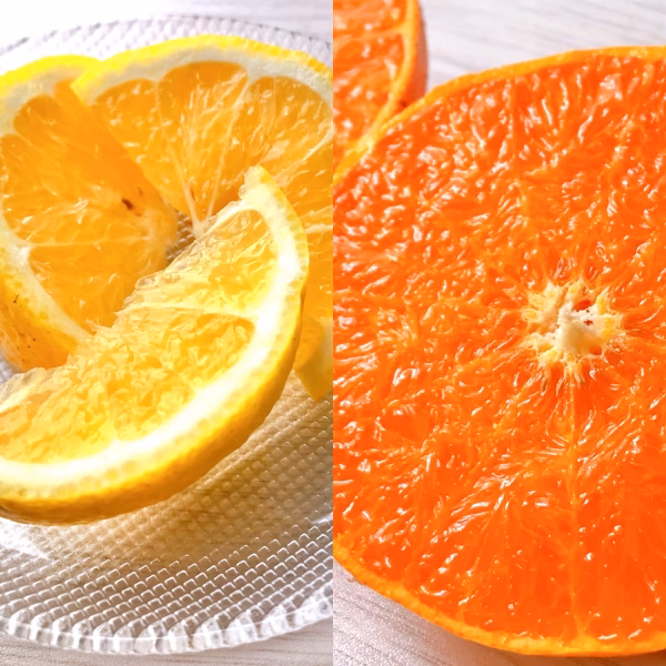 完熟せとか＆はるか　セット